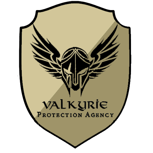 Viking helmet with wings within a shield shape. Text states Valkyrie Protection Agency.